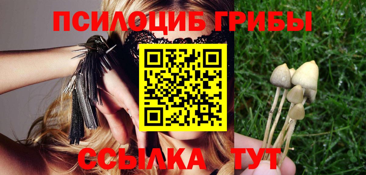Галлюциногенные грибы прущие грибы Гурьевск