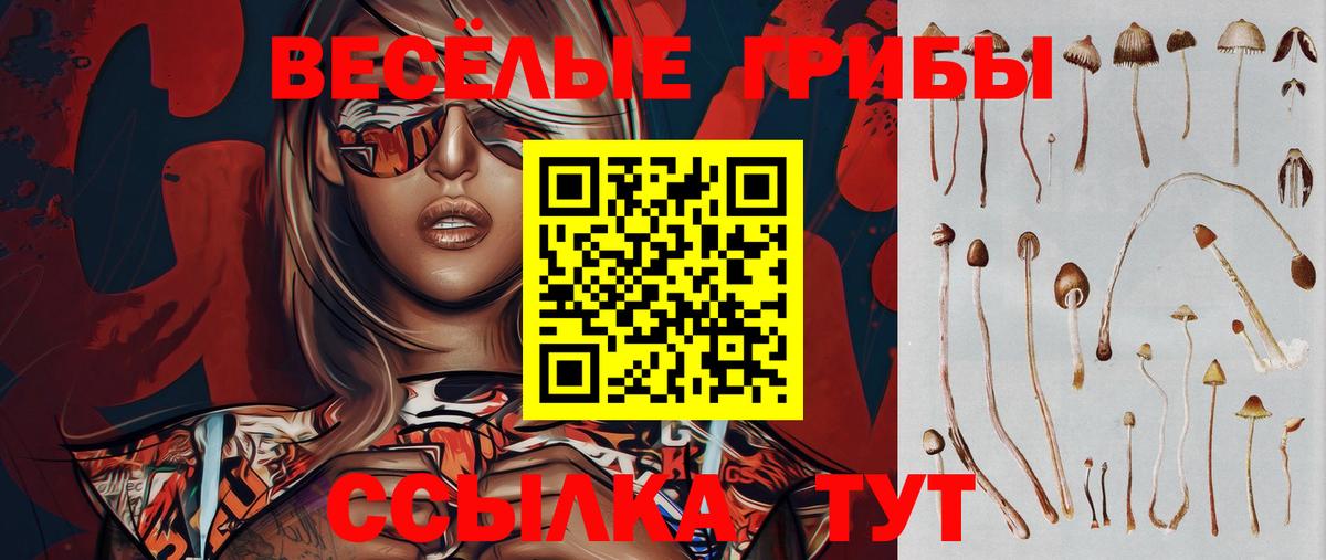 Псилоцибиновые грибы Magic Shrooms  Псилоцибиновые грибы ЛСД  Гурьевск  Вход с VPN 